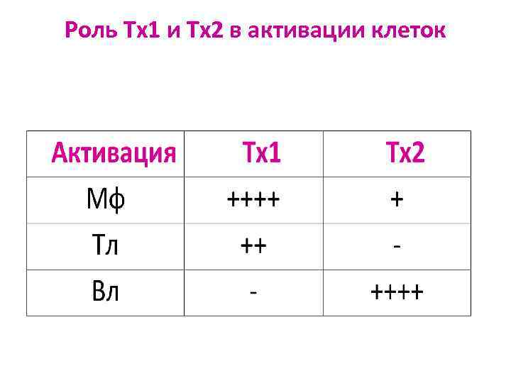 Роль Тх1 и Тх2 в активации клеток 