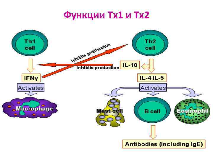 Функции Tх1 и Tх2 