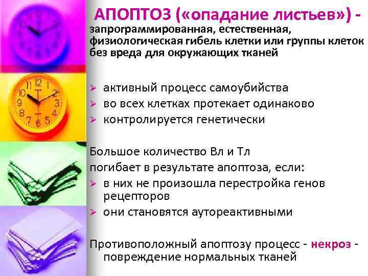 АПОПТОЗ ( «опадание листьев» ) - запрограммированная, естественная, физиологическая гибель клетки или группы клеток