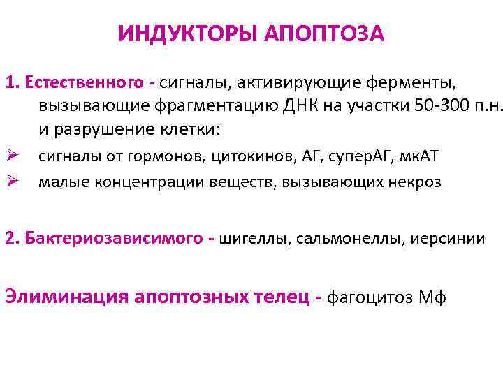 ИНДУКТОРЫ АПОПТОЗА 1. Естественного - сигналы, активирующие ферменты, вызывающие фрагментацию ДНК на участки 50