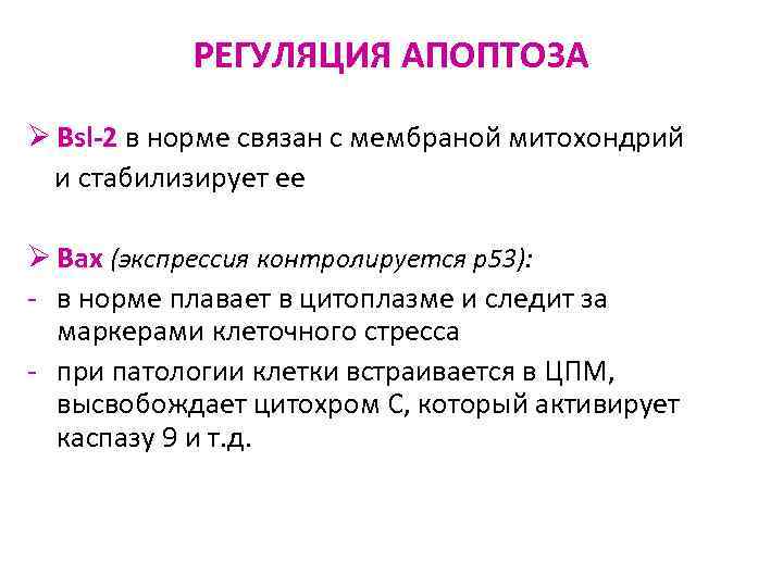 РЕГУЛЯЦИЯ АПОПТОЗА Ø Bsl-2 в норме связан с мембраной митохондрий и стабилизирует ее Ø