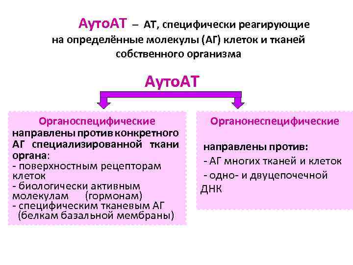 Ауто. АТ – АТ, специфически реагирующие на определённые молекулы (АГ) клеток и тканей собственного