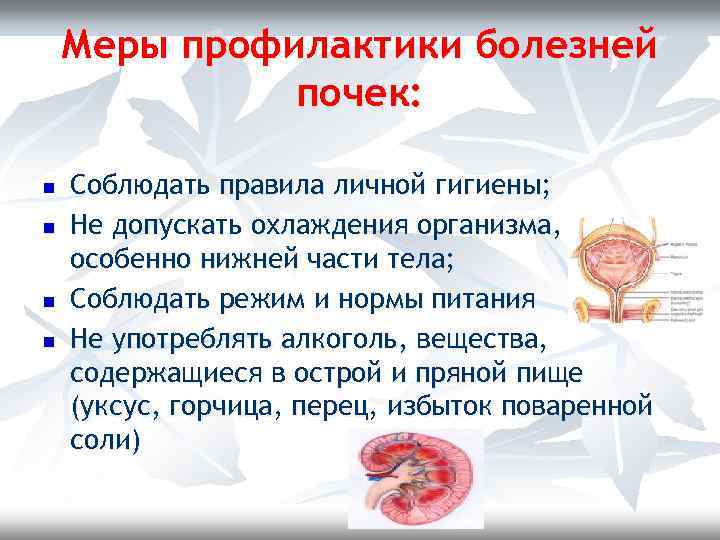 Меры профилактики болезней почек: n n Соблюдать правила личной гигиены; Не допускать охлаждения организма,