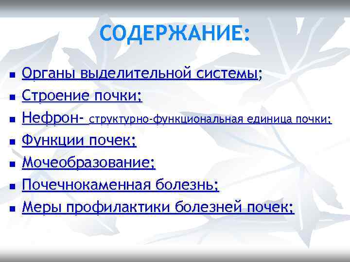СОДЕРЖАНИЕ: n n n n Органы выделительной системы; Строение почки; Нефрон- структурно-функциональная единица почки;