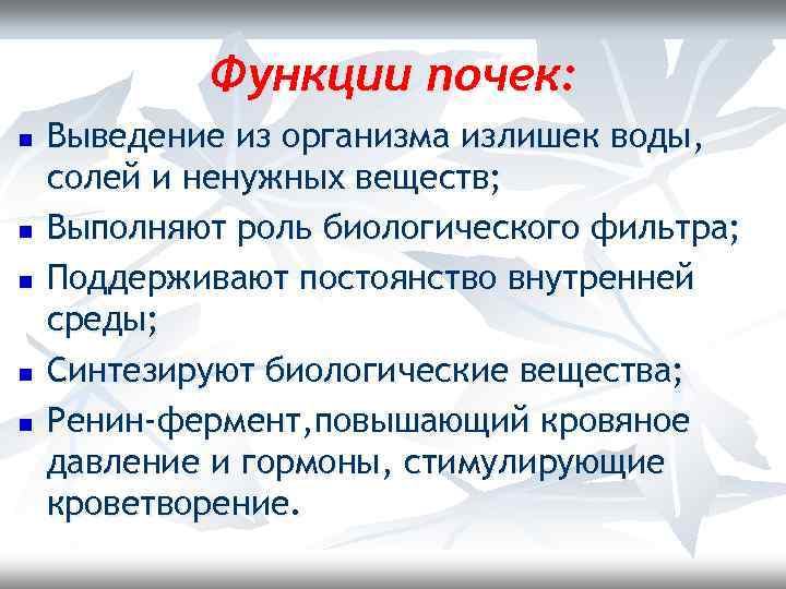 Функции почек: n n n Выведение из организма излишек воды, солей и ненужных веществ;