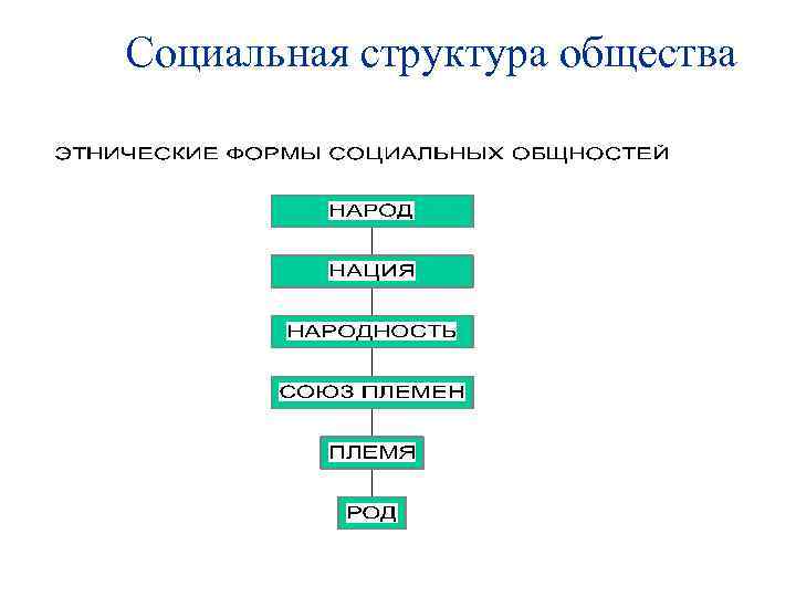 Социальная структура картинки