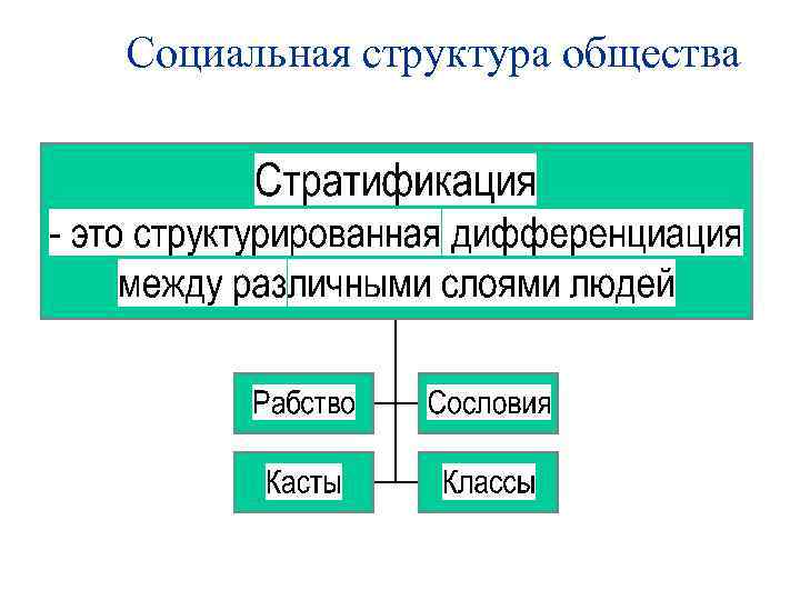 Социальная структура общества 