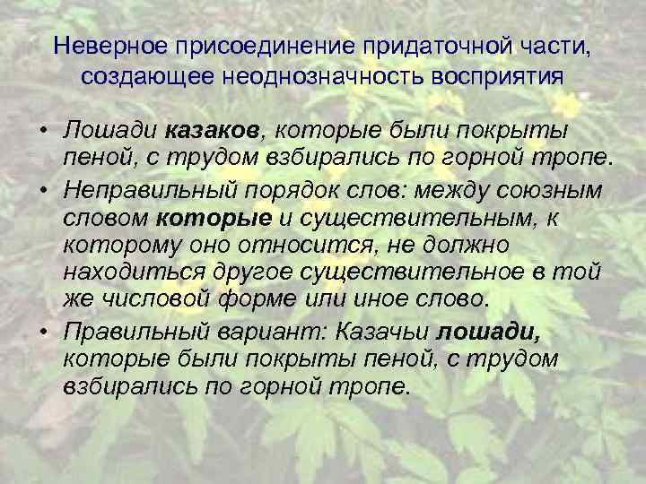 Неверное присоединение придаточной части, создающее неоднозначность восприятия • Лошади казаков, которые были покрыты пеной,