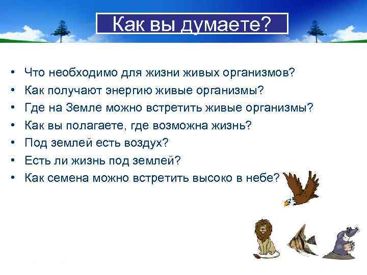 Как вы думаете? • • Что необходимо для жизни живых организмов? Как получают энергию