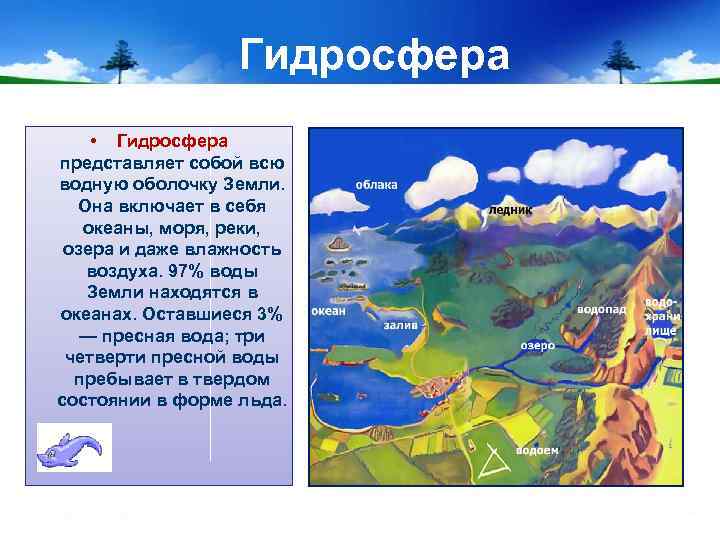 Гидросфера • Гидросфера представляет собой всю водную оболочку Земли. Она включает в себя океаны,