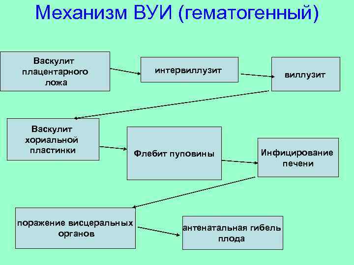 Механизм ВУИ (гематогенный) Васкулит плацентарного ложа Васкулит хориальной пластинки поражение висцеральных органов интервиллузит Флебит
