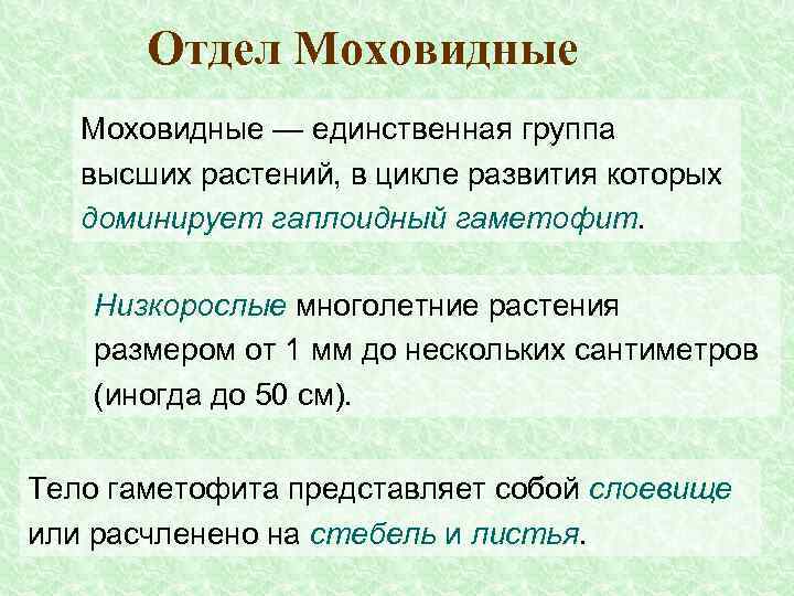 Отдел Моховидные — единственная группа высших растений, в цикле развития которых доминирует гаплоидный гаметофит.