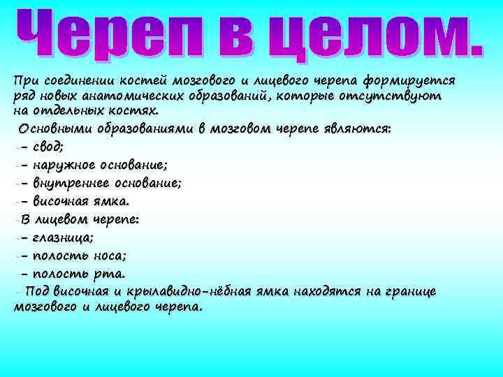 При соединении костей мозгового и лицевого черепа формируется ряд новых анатомических образований, которые отсутствуют