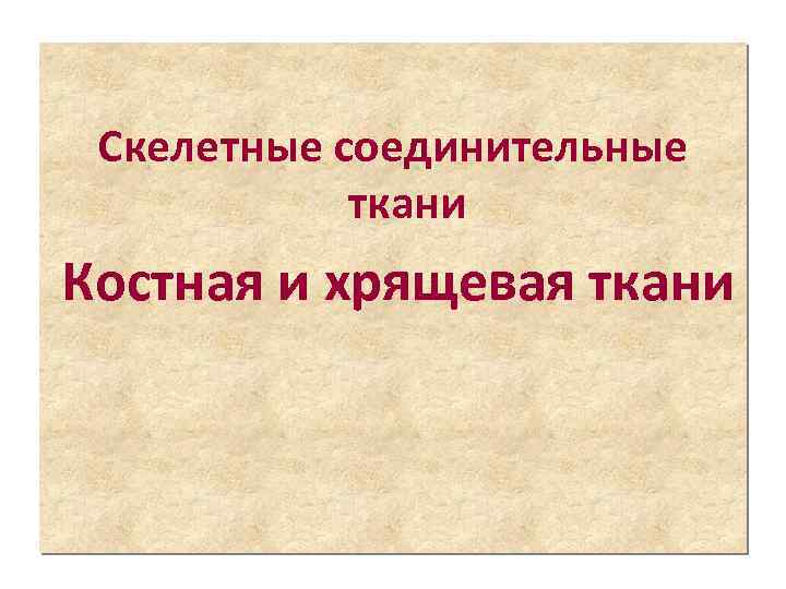 Скелетные соединительные ткани Костная и хрящевая ткани 