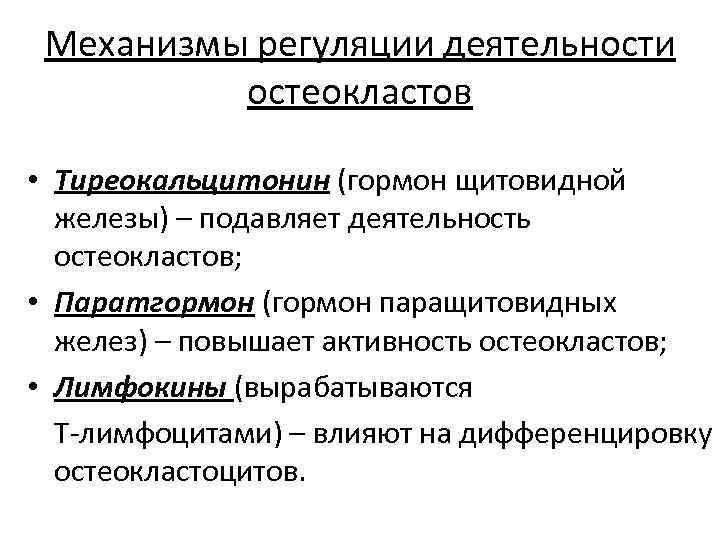 Механизмы регуляции деятельности остеокластов • Тиреокальцитонин (гормон щитовидной железы) – подавляет деятельность остеокластов; •