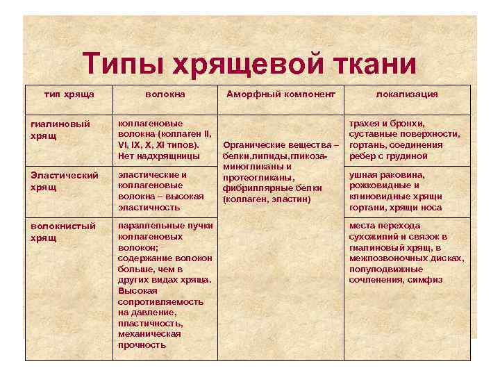 Типы хрящевой ткани тип хряща волокна гиалиновый хрящ коллагеновые волокна (коллаген II, VI, IX,