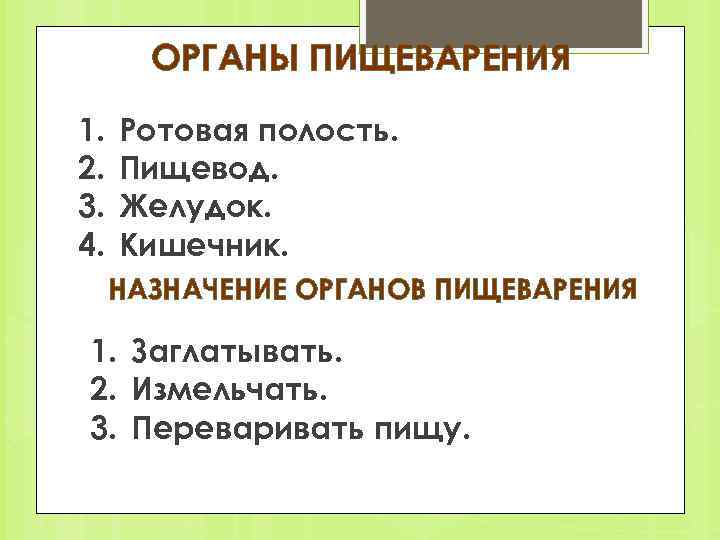 ОРГАНЫ ПИЩЕВАРЕНИЯ 1. 2. 3. 4. Ротовая полость. Пищевод. Желудок. Кишечник. НАЗНАЧЕНИЕ ОРГАНОВ ПИЩЕВАРЕНИЯ
