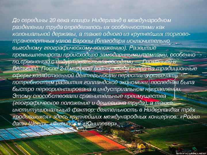 До середины 20 века «лицо» Нидерланд в международном разделении труда определялось их особенностями как