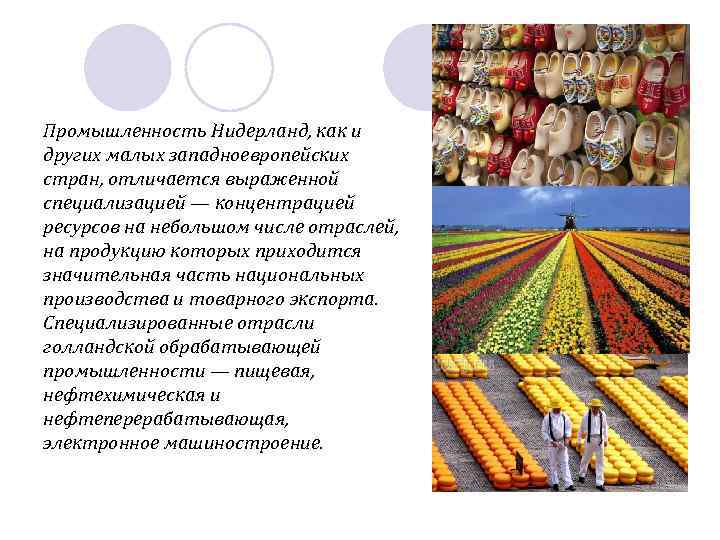 Промышленность Нидерланд, как и других малых западноевропейских стран, отличается выраженной специализацией — концентрацией ресурсов