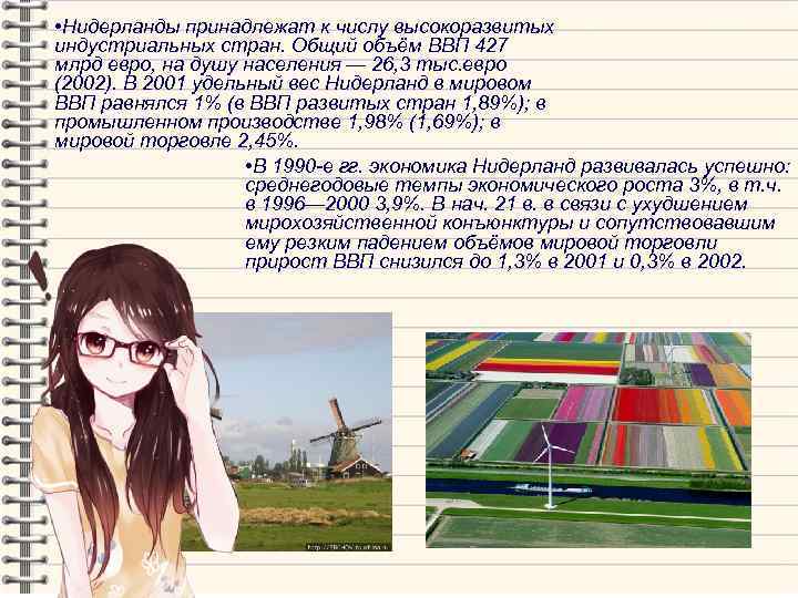  • Нидерланды принадлежат к числу высокоразвитых индустриальных стран. Общий объём ВВП 427 млрд