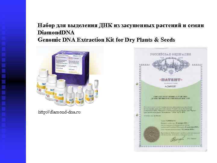 Набор для выделения ДНК из засушенных растений и семян Diamond. DNA Genomic DNA Extraction