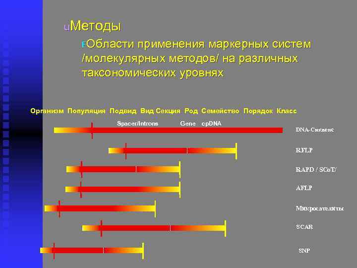 u. Методы FОбласти применения маркерных систем /молекулярных методов/ на различных таксономических уровнях Организм Популяция