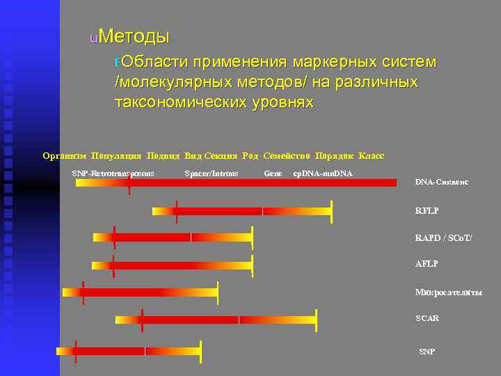 u. Методы FОбласти применения маркерных систем /молекулярных методов/ на различных таксономических уровнях Организм Популяция