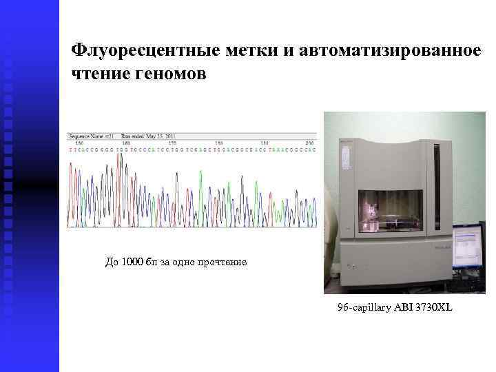 Флуоресцентные метки и автоматизированное чтение геномов До 1000 бп за одно прочтение 96 -capillary