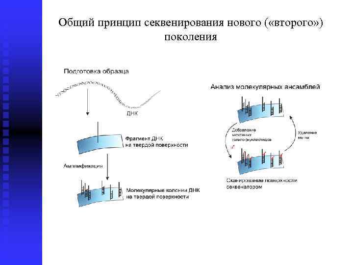 Схема секвенирования sbs