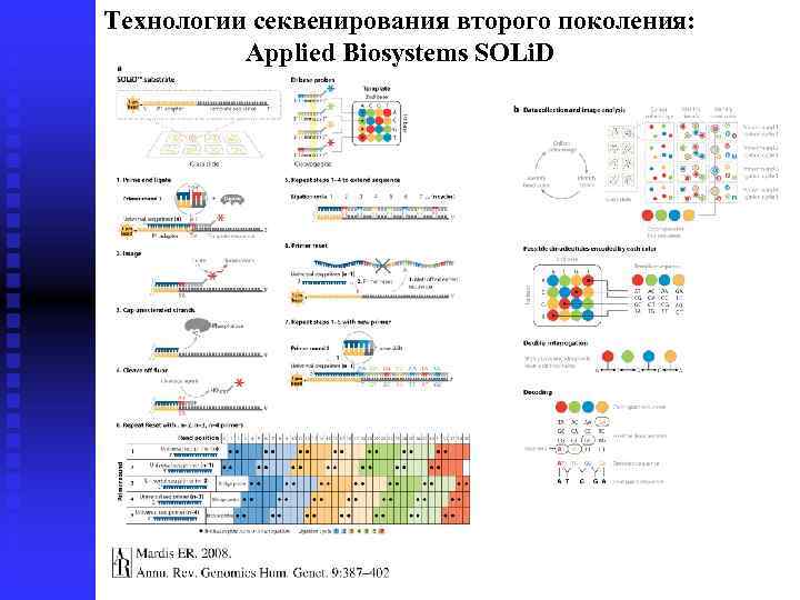 Технологии секвенирования второго поколения: Applied Biosystems SOLi. D 