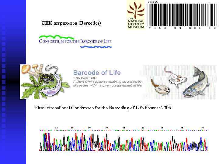 ДНК штрих-код (Barcodes) First International Conference for the Barcoding of Life Februar 2005 