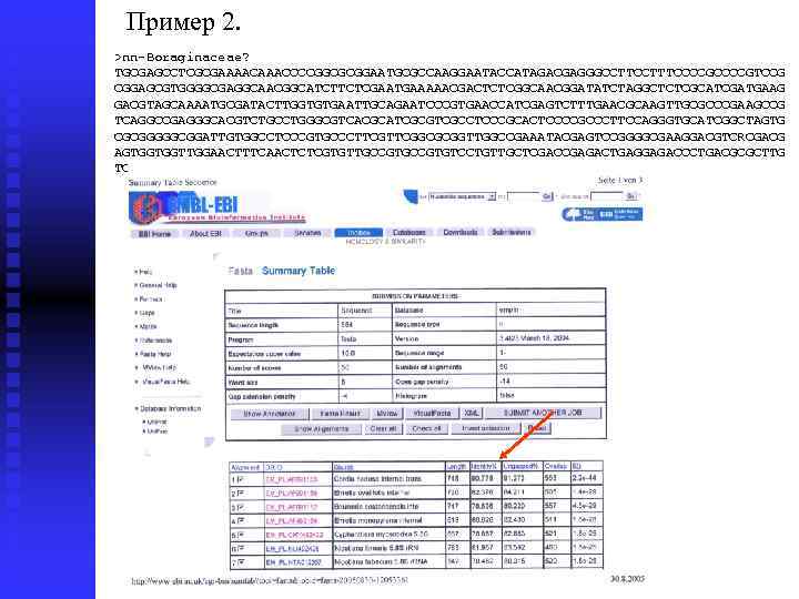 Пример 2. >nn-Boraginaceae? TGCGAGCCTCGCGAAAACCCCGGCGCGGAATGCGCCAAGGAATACCATAGACGAGGGCCTTTCCCCGTCCG CGGAGCGTGGGGCGAGGCAACGGCATCTTCTCGAATGAAAAACGACTCTCGGCAACGGATATCTAGGCTCTCGCATCGATGAAG GACGTAGCAAAATGCGATACTTGGTGTGAATTGCAGAATCCCGTGAACCATCGAGTCTTTGAACGCAAGTTGCGCCCGAAGCCG TCAGGCCGAGGGCACGTCTGCCTGGGCGTCACGCATCGCGTCGCCTCCCGCACTCCCCGCCCTTCCAGGGTGCATCGGCTAGTG CGCGGGGGCGGATTGTGGCCTCCCGTGCCCTTCGGCGCGGTTGGCCGAAATACGAGTCCGGGGCGAAGGACGTCRCGACG AGTGGTGGTTGGAACTTTCAACTCTCGTGTTGCCGTGTCCTGTTGCTCGACCGAGACTGAGGAGACCCTGACGCGCTTG TCTCGTTCCGACGGGAGGAGCCACGCGCTACGACCGCGACCCCAGGTCAG 