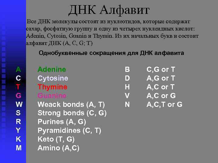 ДНК Алфавит Все ДНК молекулы состоят из нуклеотидов, которые содержат сахар, фосфатную группу и