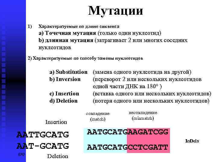 Мутации 1) Характеризуемые по длине сиквенса a) Точечная мутация (только один нуклеотид) b) длинная