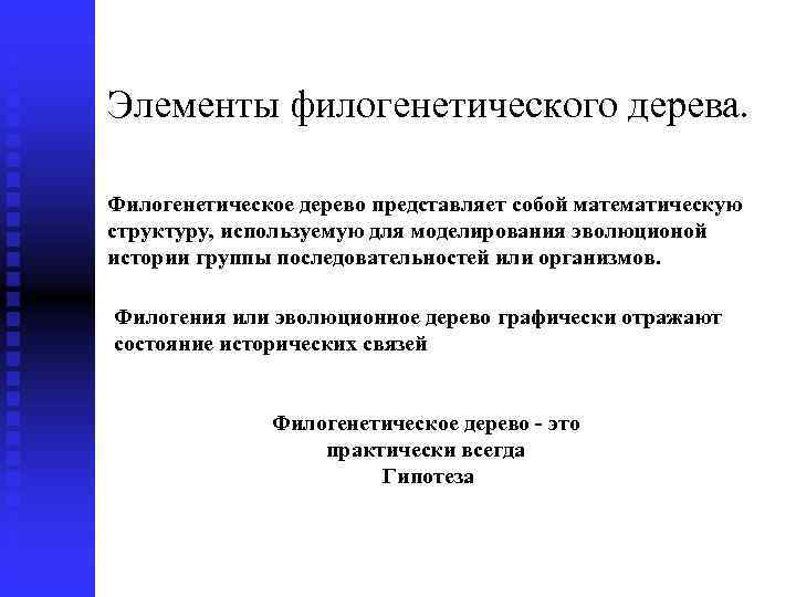 Элементы филогенетического дерева. Филогенетическое дерево представляет собой математическую структуру, используемую для моделирования эволюционой истории