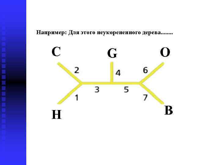 Например: Для этого неукорененного дерева. . . . С H G O B 