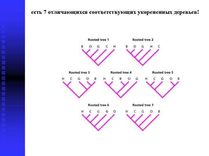 есть 7 отличающихся соответствующих укорененных деревьев! 