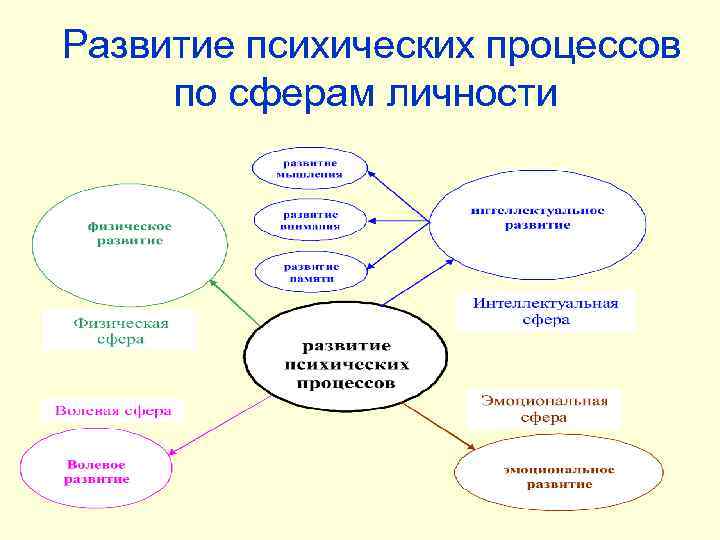 Развитие психических процессов по сферам личности 