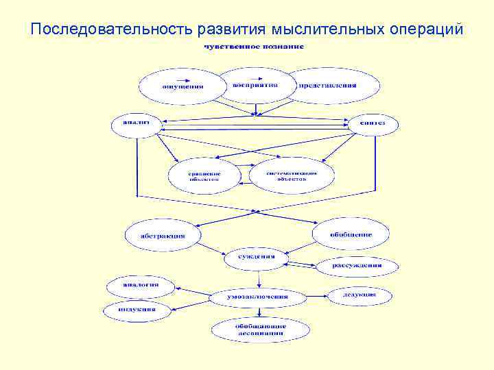 Последовательность развития мыслительных операций 