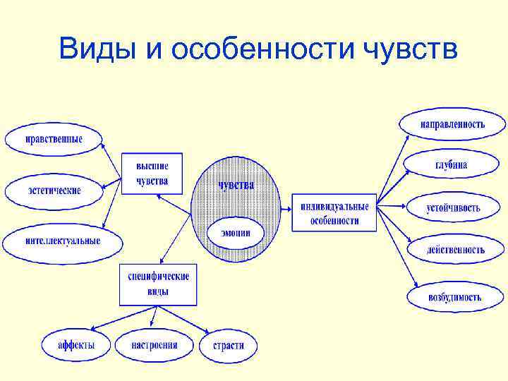 Виды и особенности чувств 