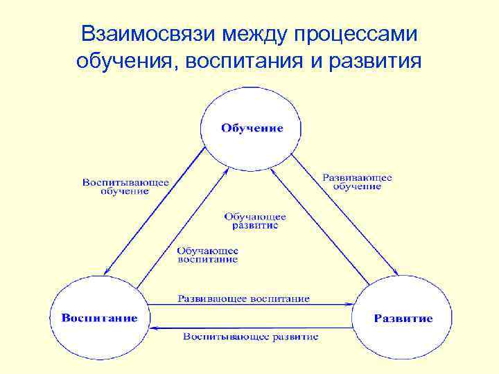 Взаимосвязи между процессами обучения, воспитания и развития 