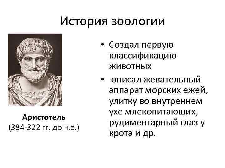 История зоологии Аристотель (384 -322 гг. до н. э. ) • Создал первую классификацию
