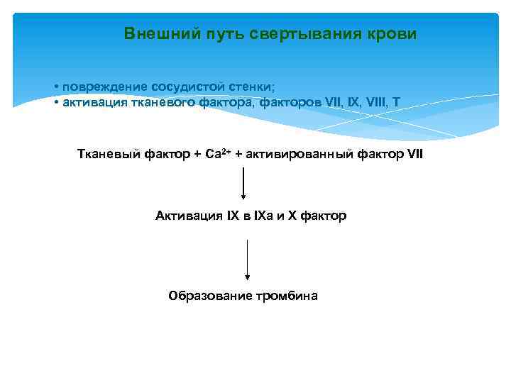 Внешний путь свертывания крови • повреждение сосудистой стенки; • активация тканевого фактора, факторов VII,