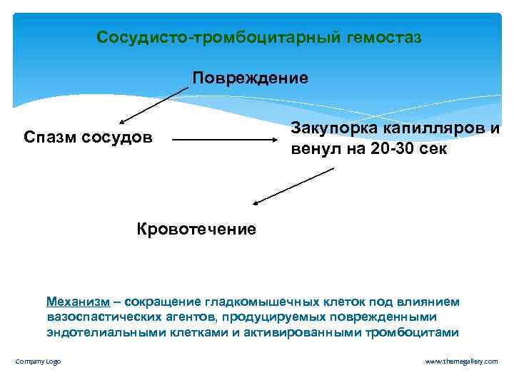 Сосудисто-тромбоцитарный гемостаз Повреждение Спазм сосудов Закупорка капилляров и венул на 20 -30 сек Кровотечение