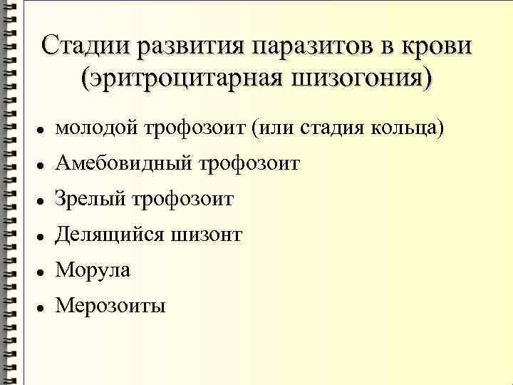 Стадии развития паразитов в крови (эритроцитарная шизогония) молодой трофозоит (или стадия кольца) Амебовидный трофозоит
