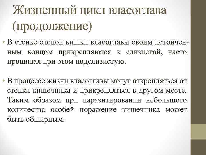 Жизненный цикл власоглава (продолжение) • В стенке слепой кишки власоглавы своим истонченным концом прикрепляются