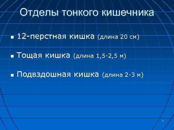 Отделы тонкого кишечника 12 -перстная кишка Тощая кишка Подвздошная кишка (длина 20 см) (длина