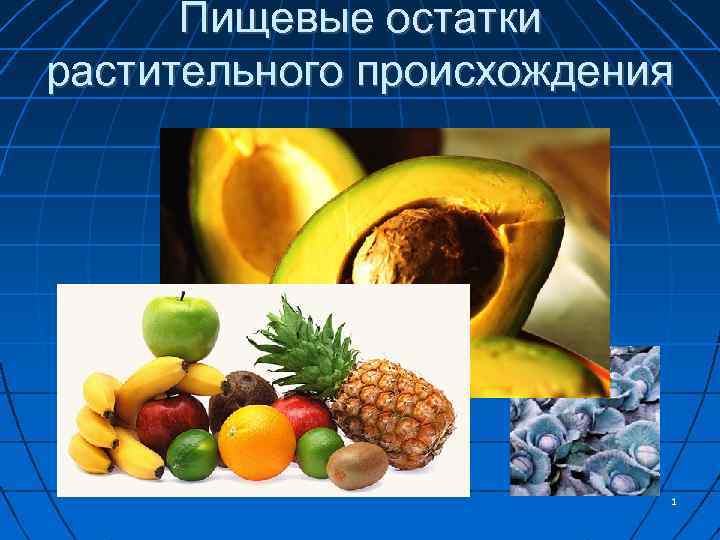 Пищевые остатки растительного происхождения 1 