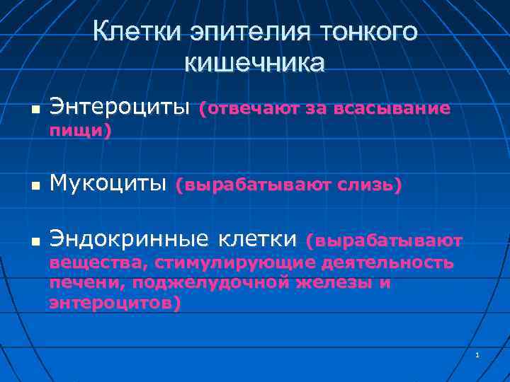 Клетки эпителия тонкого кишечника Энтероциты (отвечают за всасывание пищи) Мукоциты Эндокринные клетки (вырабатывают слизь)