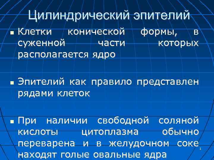 Цилиндрический эпителий Клетки конической суженной части располагается ядро формы, в которых Эпителий как правило